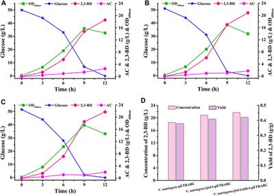 Non-Sterilized Fermentation of 2,3-Butanediol with Seawater by Metabolic Engineered Fast-Growing Vibrio natriegens